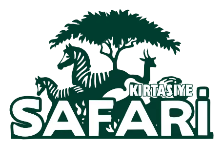 Safari